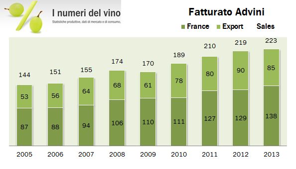 advini 2013 2