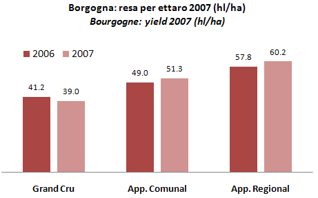 borgogna2007-18.jpg
