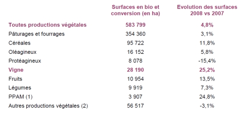 viticoltura biologica francia 2008 3